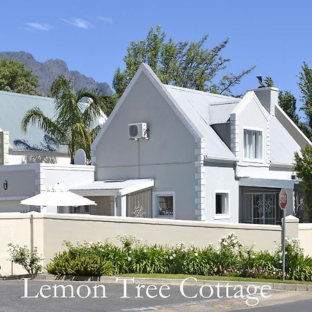 Lemon Tree Cottage Self Catering Franschhoek Zewnętrze zdjęcie
