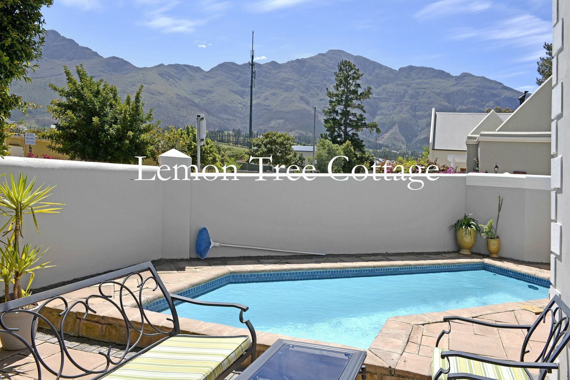 Lemon Tree Cottage Self Catering Franschhoek Zewnętrze zdjęcie