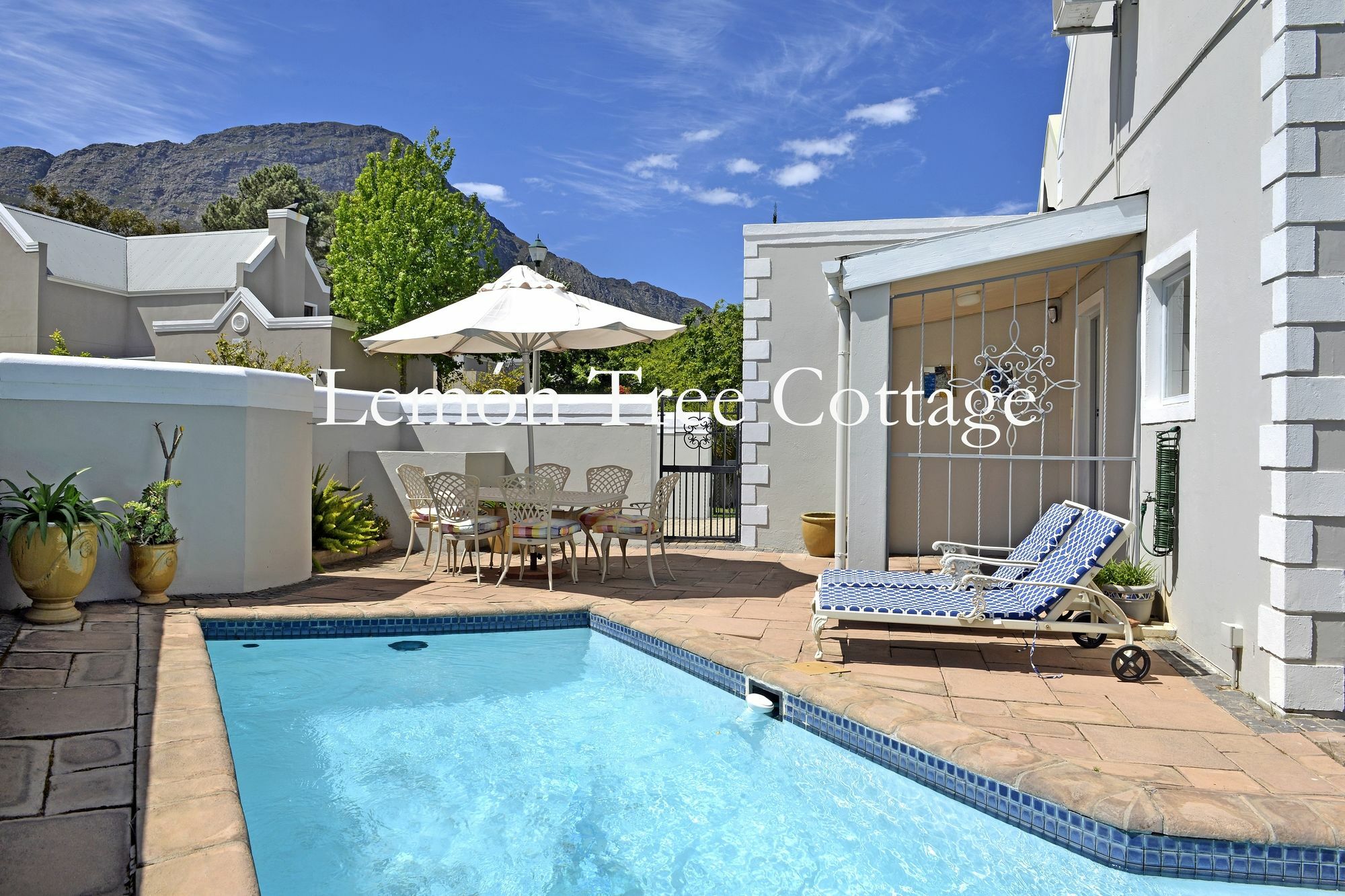 Lemon Tree Cottage Self Catering Franschhoek Zewnętrze zdjęcie